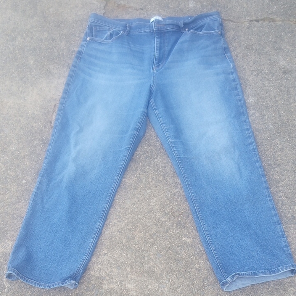 LOFT Classic Blue Jeans